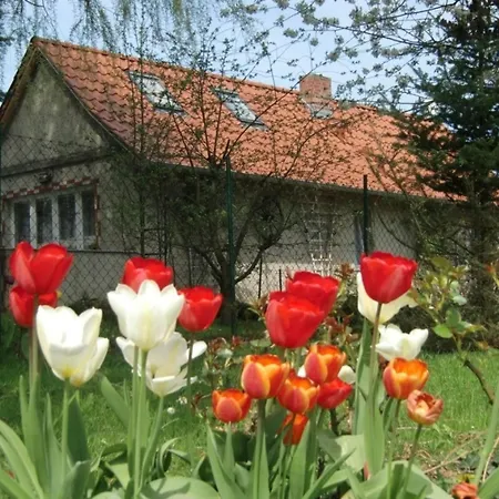 Schoene In Lebbin Сasa de vacaciones
